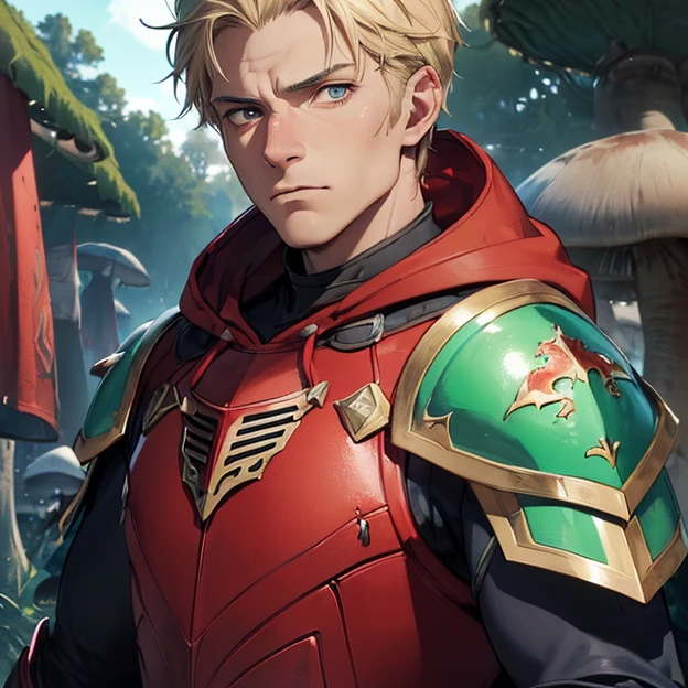 (master piece, best high quality image, very good detailed image, very good detailed character, very good detailed background, very detailed textures, carefully detailed and textures, character alone)
{{((1:character: 30 years old blonde man knight, (fair skin, full black eyes with blue iris, short blonde hair, serious face), (crimson armor, red-blue hoody jacket under the armor, crimson shoulder plates, crimson armor plate), (green sky, fungi planet))}}