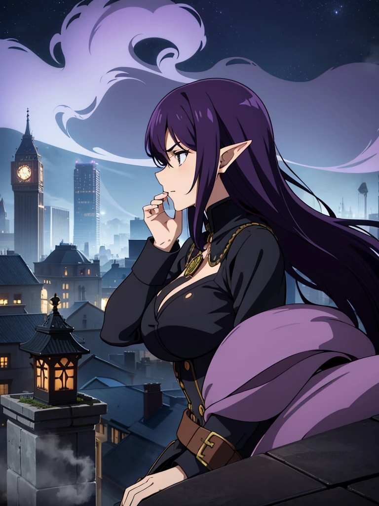 night,steampunk city,fatory,fog,smoke,on top of a roof,1mature woman,serious,black elegant outfit,purple hair,long hair,elf ears,crouched,profile