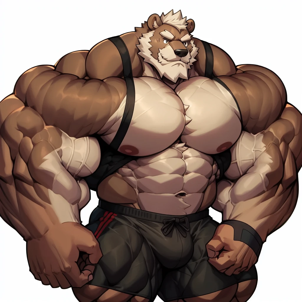 solo, 1boy, Huge Muscular Old Grizzly Bear wearing glasses , pectoral, huge pectoral, wide pectoral, short white hair, black shorts, black wristbands and black tank top, bearded, Mustache, ((really big muscle, massive muscular, sixpack, thick arms, wide pectoral, super huge muscle, hyper muscular, over sized muscle, huge arms, big arms, huge pectoral)), simple background, masterpiece, high detailed, 8k, high resolution, at the gym, flexes huge muscles
