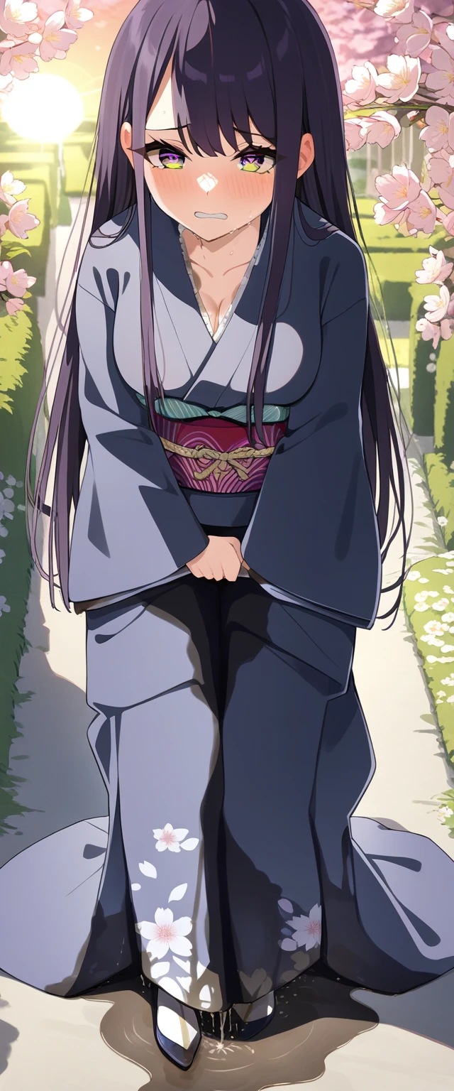(masterpiece:1.37), best quality, (extremely detailed:1.37), (1girl:1.5), woman, (mature:1.5), (adult:1.5), large breasts, very long hair, (straight hair:1.5), (very dark purple hair:1.5), purple eyes, (extremely detailed eyes:1.37), (furisode:2.0), desperation, (wetting self:2.0), standing, embarrassed, humiliation, blushing, angry, cherry blossoms, garden, (golden hour:1.5), full body