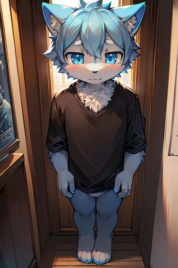 Normal scenario (Furry light blue fox boy), Standing,Facing the camera, ((Melancholy, Detailed face, Clear big eyes,blue eyes,Meticulous attention to detail)), Natural and soft lighting, 8K, SF Express, Autumn Light , peaceful , (Fluffy Paws), Front view,Wearing a shirt
