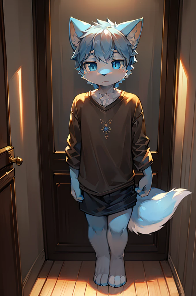 Normal scenario (Furry light blue fox boy), Standing,Facing the camera, ((Melancholy, Detailed face, Clear big eyes,blue eyes,Meticulous attention to detail)), Natural and soft lighting, 8K, SF Express, Autumn Light , peaceful , (Fluffy Paws), Front view,Wearing a shirt