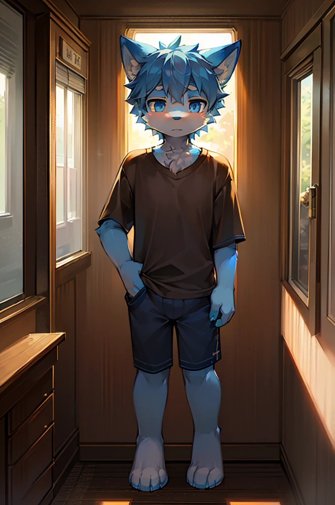 Normal scenario (Furry light blue fox boy), Standing，Facing the camera， ((Melancholy， Detailed face, Clear big eyes，blue eyes，Meticulous attention to detail)), Natural and soft lighting, 8K, SF Express, Autumn Light , peaceful , (Fluffy Paws), Front view，Wearing a shirt