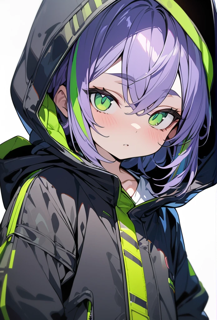 [(WHITE BACKGROUND:1.5),::5], ((((masterpiece)))), high quality, ultra very high resolution, full color, (((solo))), ((little boy)), Purple hair, ((Green streaked hair)), (Green eyes), anime, black parka, 