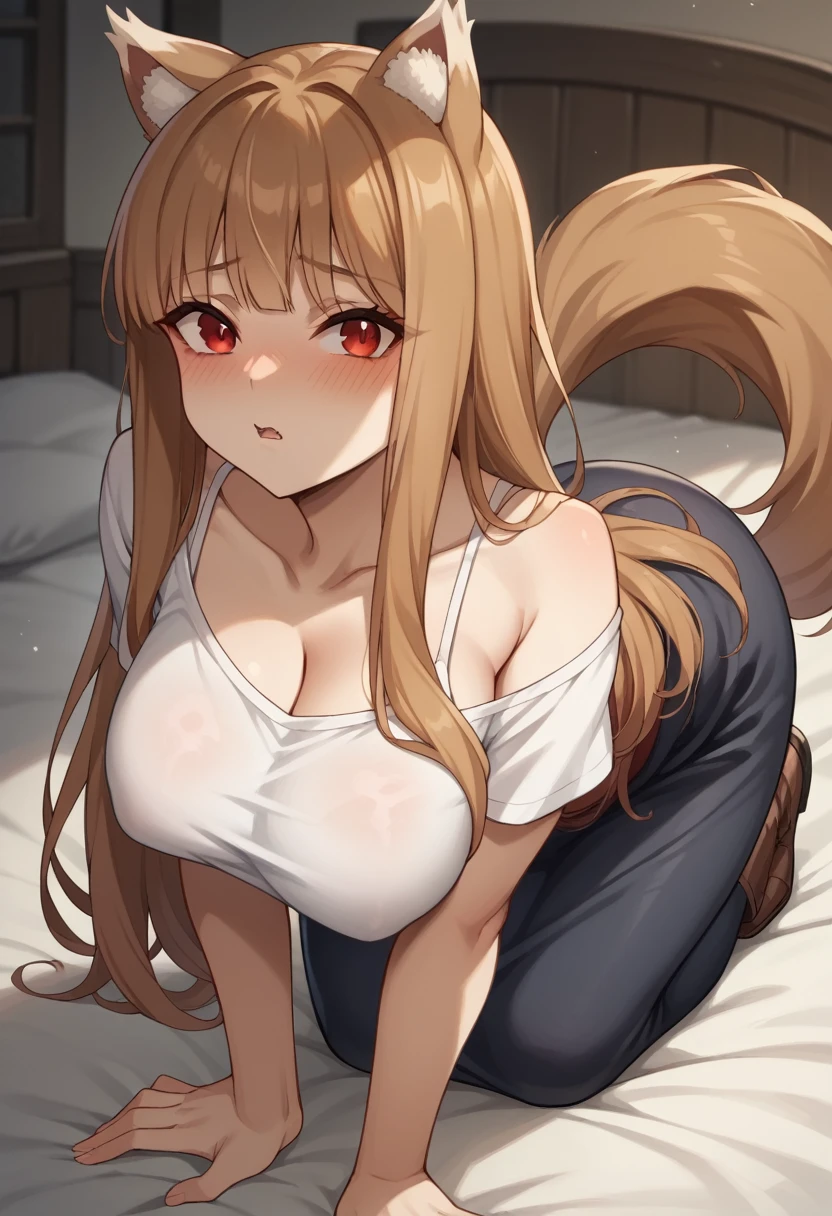 ((masterpiece)), (Highest quality), (detailed), (1 Girl),,Red eyes,Light brown hair、Long Hair、Wolf Ears、,bed、Large Breasts、blush、T-Shirts(tight)camisole、Long maxi skirt、Face up、ass pov、Subjective、hand stroking cheek