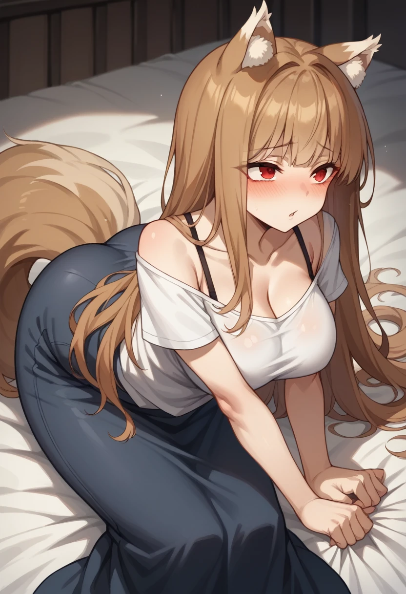 ((masterpiece)), (Highest quality), (detailed), (1 Girl),,Red eyes,Light brown hair、Long Hair、Wolf Ears、,bed、Large Breasts、blush、T-Shirts(tight)camisole、Long maxi skirt、Face up、ass pov、Subjective、hand stroking cheek:1.5