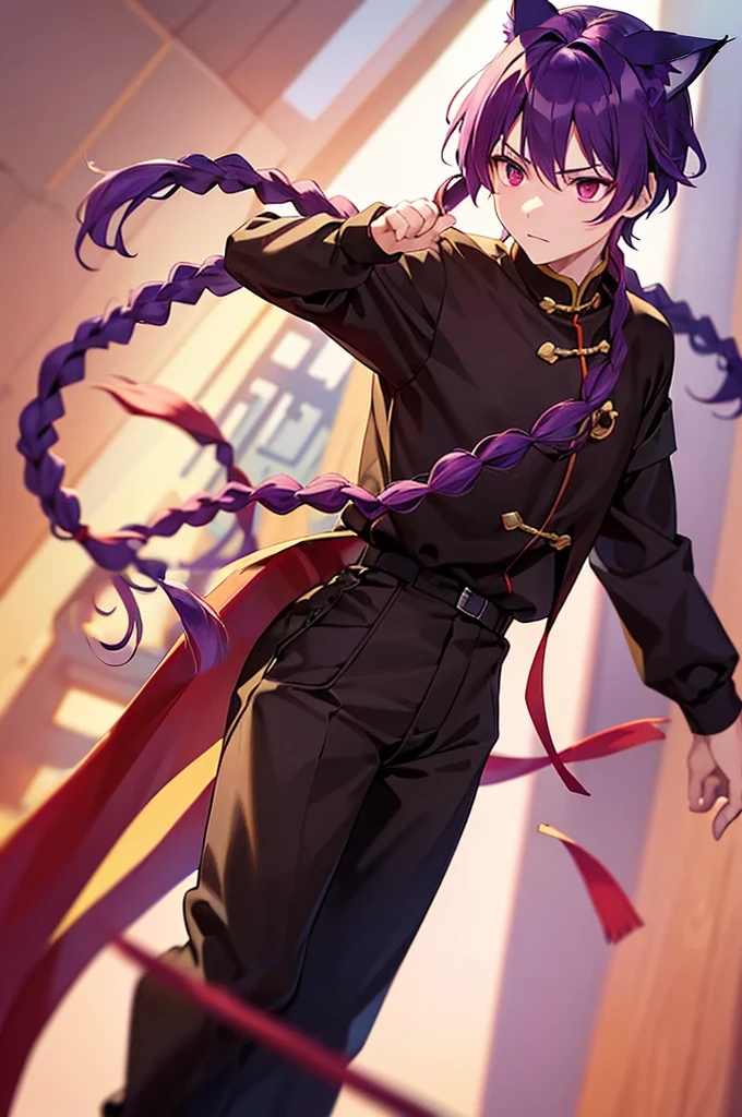 (((Purple Hair、Dye the inside of your hair red、Long Hair、Knot、Braid、Bright red eyes)))、((Cat ear、Cat、Cat's Tail))、A man wearing black kung fu clothing、A young man with a determined look、Man standing facing forward、(White background)、{{masterpiece}}, The best quality of life