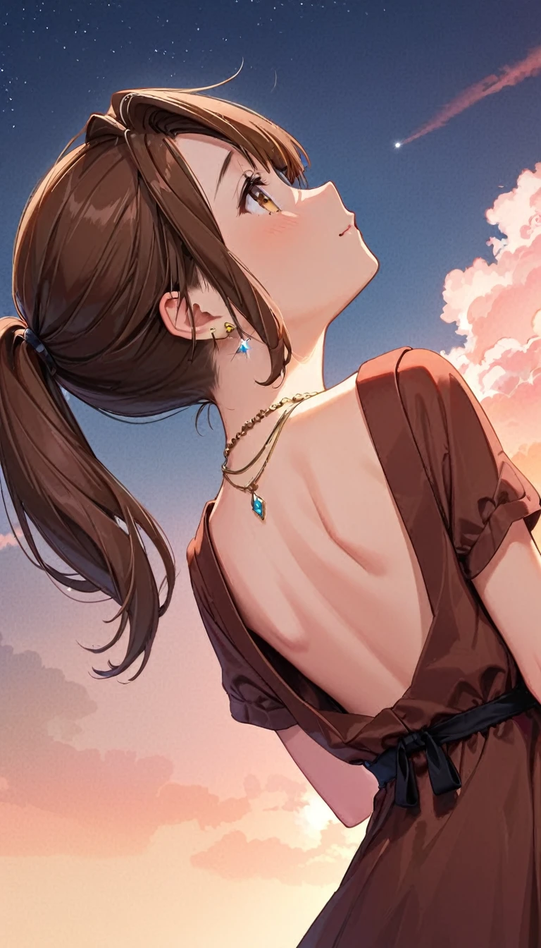 Highest quality、Masseter region、Very detailed、8k、alone、(((Cute 18 year old Japanese、Brown Hair、ponytail、look up_Away:1.2、Look at the sky)))、From behind、Gorgeous brown dress、Gorgeous necklace and earrings with diamonds、
