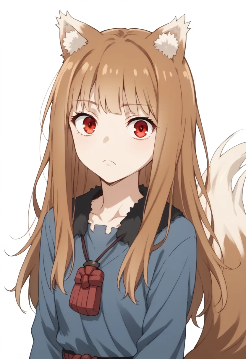 brown hair,long hair,red eyes, wolf girl,wolf ear,wolf tail、大きな胸