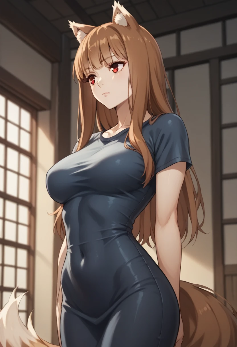 brown hair,long hair,red eyes, wolf girl,wolf ear,Wolf tail、Large Breasts、T-Shirts(tight)Maxi dress