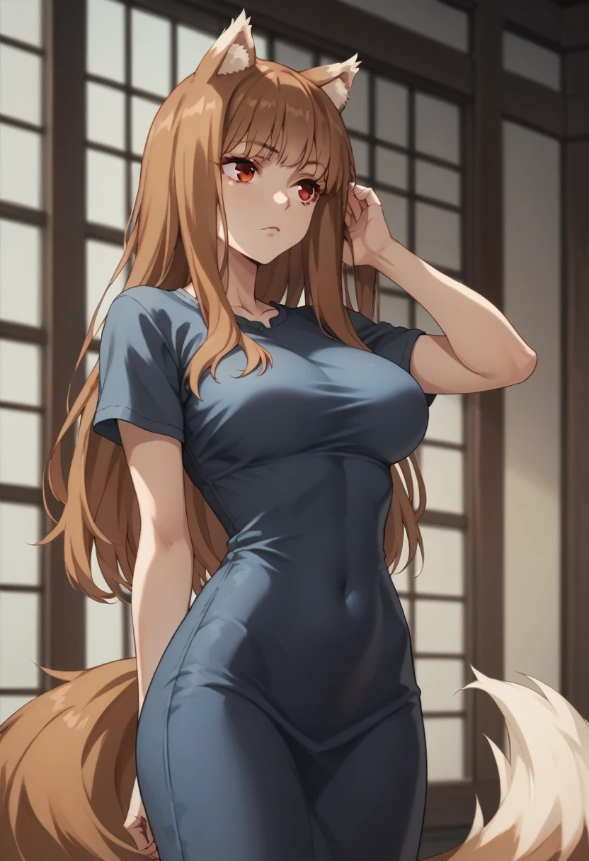 brown hair,long hair,red eyes, wolf girl,wolf ear,Wolf tail、Large Breasts、T-Shirts(tight)Maxi dress