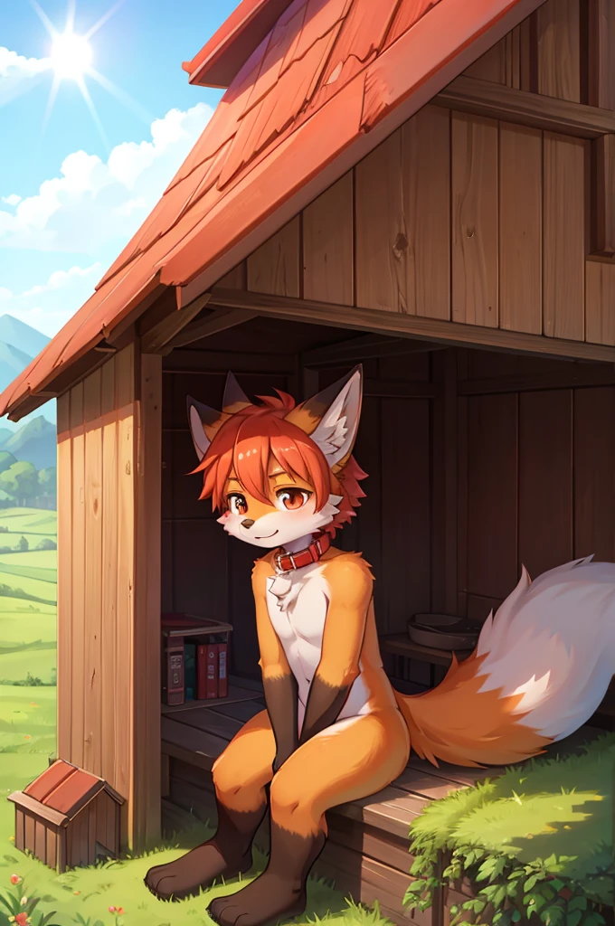 fox boy,Living in a doghouse,Red collar,8K resolution, high resolution,New Countryside,It's bright outside,The weather is bright,One person