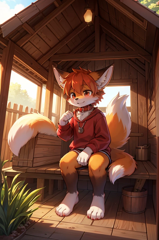 Fox Boy,Hands and knees,Red collar,doghouse