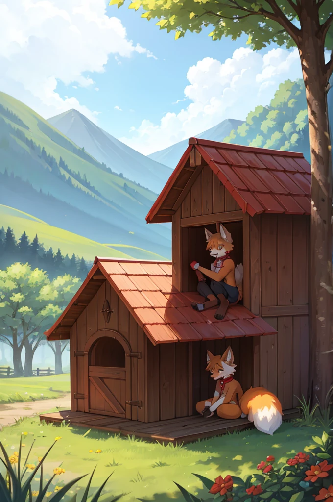 fox dog boy and girl couple,                         Red collar,doghouse,Cute face with hands on the floor,Estrus