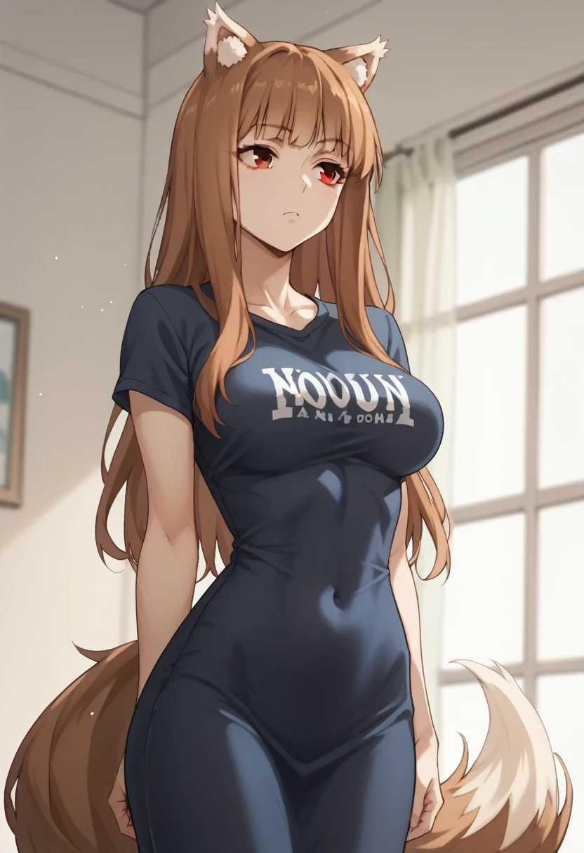 Brown Hair,Long Hair,Red eyes, Wolf Girl,Wolf Ears,Wolf's tail、Large Breasts、T-Shirts(tight)Maxi Dresses