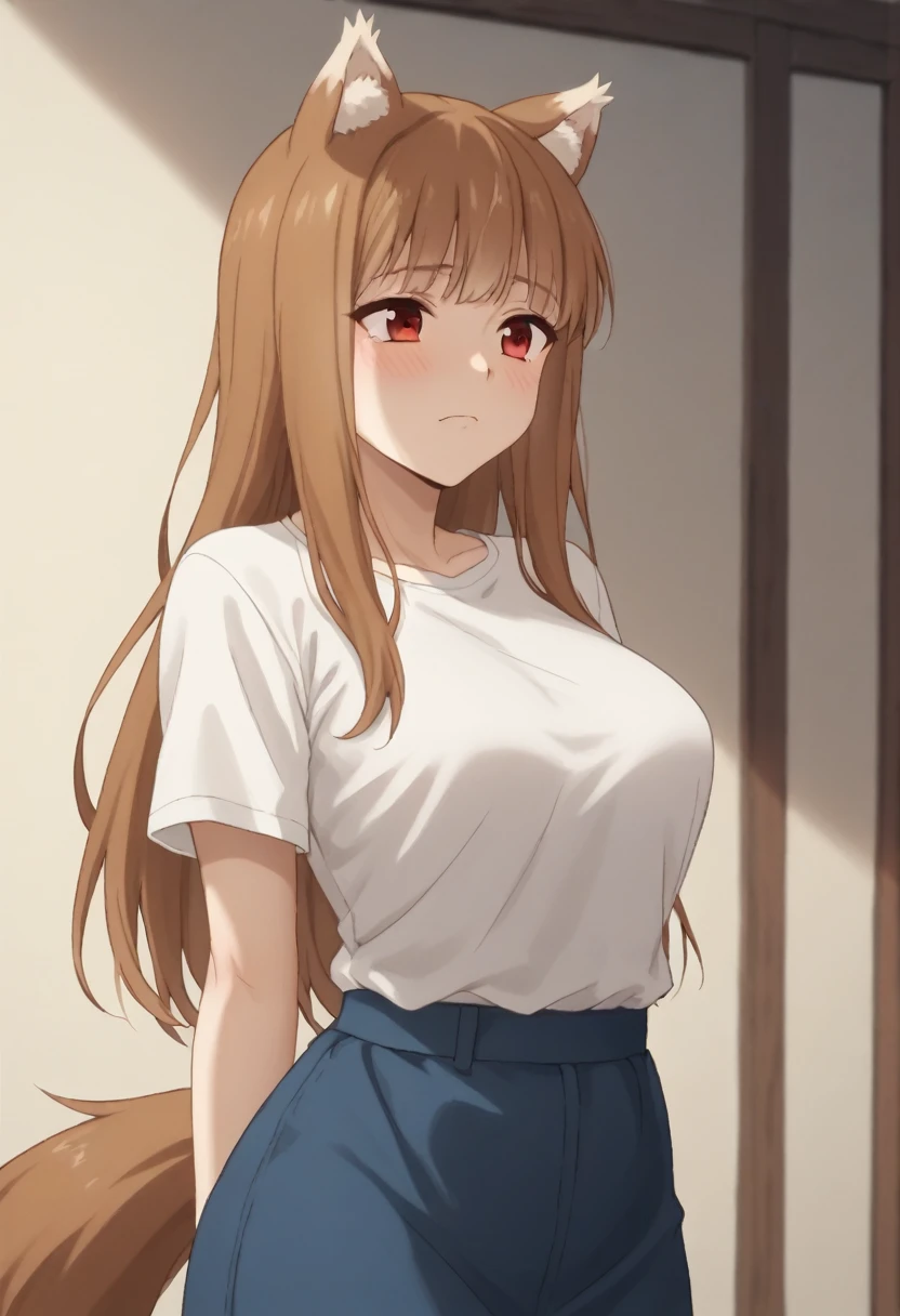 Brown Hair,Long Hair,Red eyes, Wolf Girl,Wolf Ears,Wolf's tail、Large Breasts、T-Shirts(tight)Maxi Dresses、pregnant abdomen、blush