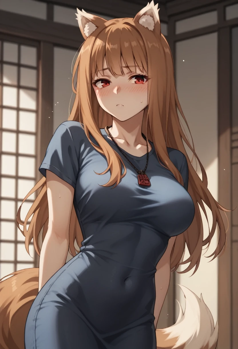 Brown Hair,Long Hair,Red eyes, Wolf Girl,Wolf Ears,Wolf's tail、Large 、T-Shirts(tight)Maxi Dresses、blush
