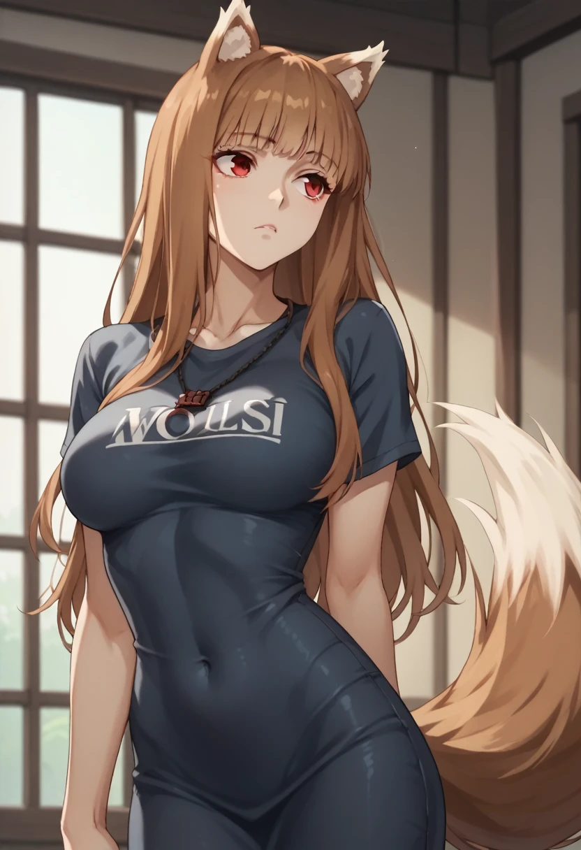 Brown Hair,Long Hair,Red eyes, Wolf Girl,Wolf Ears,Wolf's tail、Large Breasts、T-Shirts(tight)Maxi Dresses、Estrus