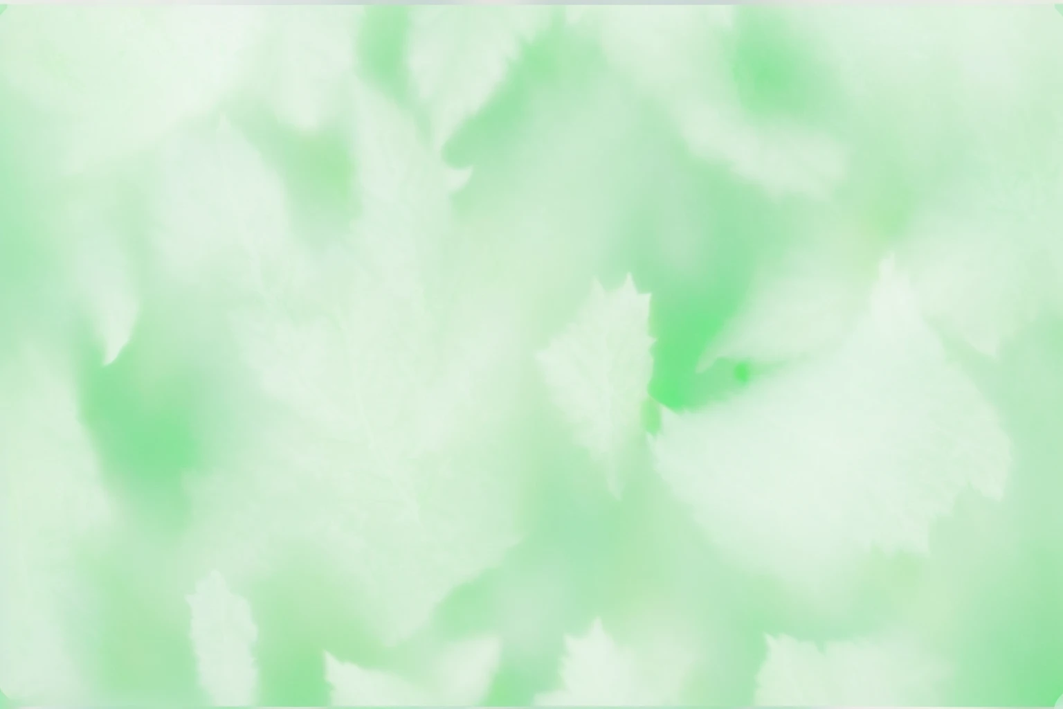 There is a blurry photo,Leaves,forest, pale green background, 渐变light green, Light green, colorized background, background pastel, gradient Light green, Light green光芒, soft green light, coloured background, Light faded effect, Light green雾, Soft gradient texture, Light green背光辉光, background ( smokes, light green, faded background, green background