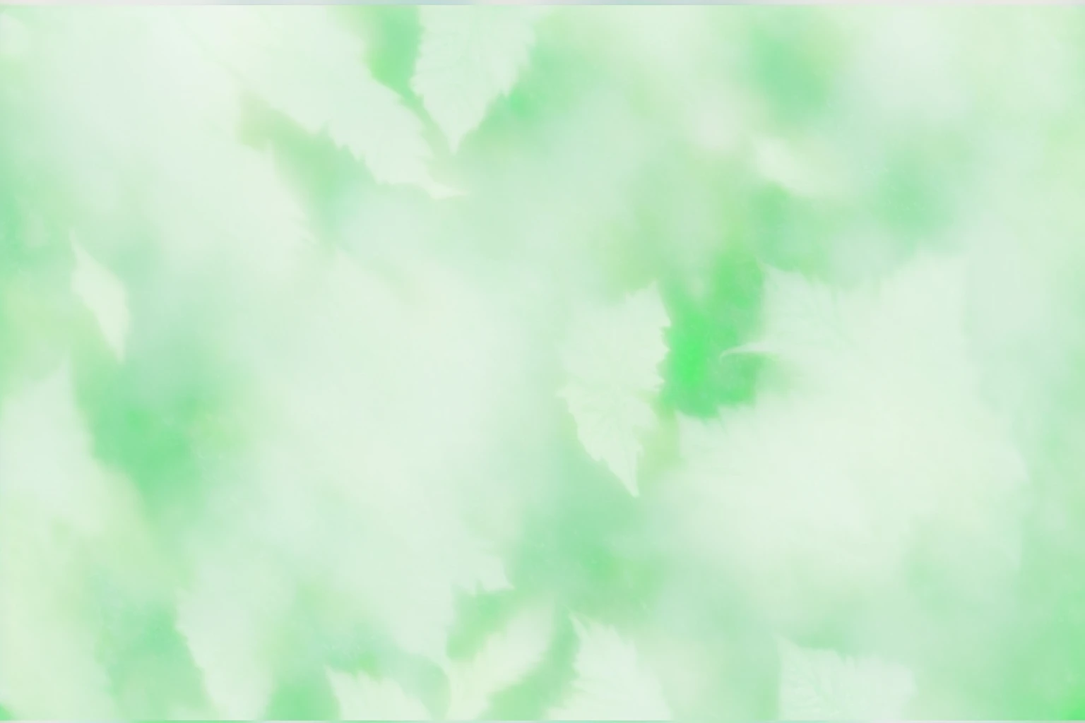 There is a blurry photo,There are leaves in the photo, The feeling of the forest,Abstract Art,pale green background, 渐变light green, Light green, colorized background, background pastel, gradient Light green, Light green光芒, soft green light, coloured background, Light faded effect, Light green雾, Soft gradient texture, Light green背光辉光, background ( smokes, light green, faded background, green background