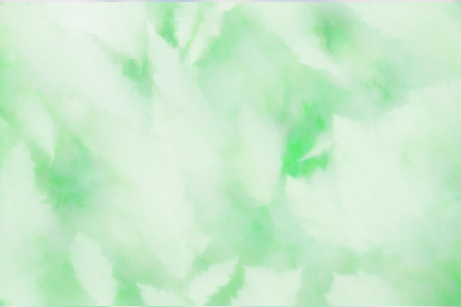 There is a blurry photo，There are leaves in the photo, The feeling of the forest，Abstract Art，pale green background, 渐变light green, Light green, colorized background, background pastel, gradient Light green, Light green光芒, soft green light, coloured background, Light faded effect, Light green雾, Soft gradient texture, Light green背光辉光, background ( smokes, light green, faded background, green background