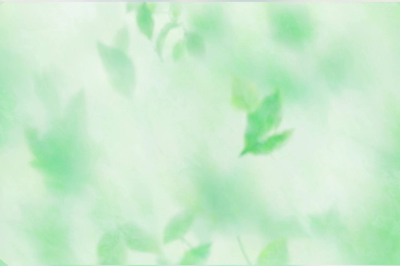 There is a blurry photo，There are leaves in the photo, The feeling of the forest，Abstract Art，pale green background, 渐变light green, Light green, colorized background, background pastel, gradient Light green, Light green光芒, soft green light, coloured background, Light faded effect, Light green雾, Soft gradient texture, Light green背光辉光, background ( smokes, light green, faded background, green background