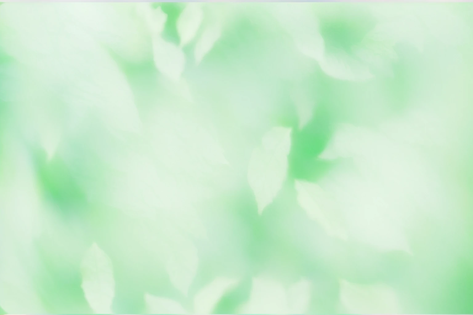 There is a blurry photo,Silhouette of leaves,forest, pale green background, 渐变light green, Light green, colorized background, background pastel, gradient Light green, Light green光芒, soft green light, coloured background, Light faded effect, Light green雾, Soft gradient texture, Light green背光辉光, background ( smokes, light green, faded background, green background