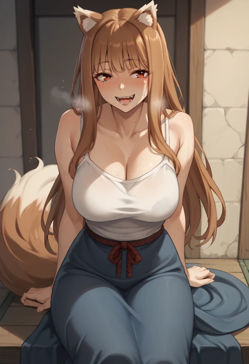 Brown Hair,Long Hair,Red eyes, Wolf Girl,Wolf Ears,Wolf's tail、Large Breasts、camisole(tight)Raise the、Long skirt、blush、Sweat、In the heat、smile、Open your mouth