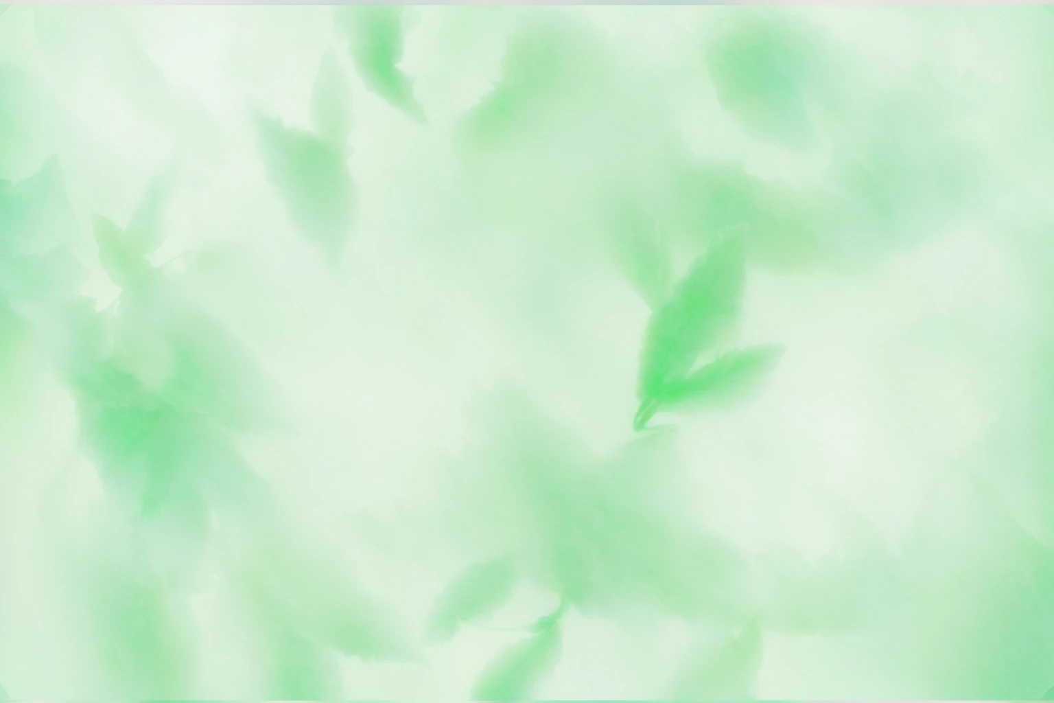 There is a blurry photo,Silhouette of leaves,forest, pale green background, 渐变light green, Light green, colorized background, background pastel, gradient Light green, Light green光芒, soft green light, coloured background, Light faded effect, Light green雾, Soft gradient texture, Light green背光辉光, background ( smokes, light green, faded background, green background