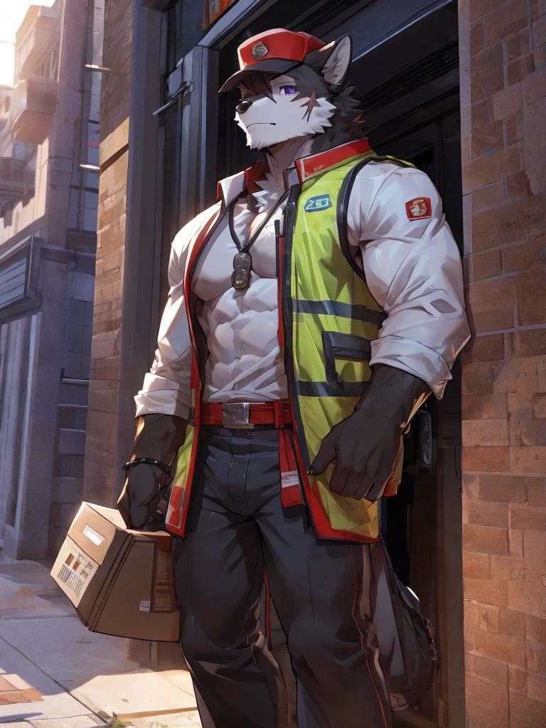 embedding:black wolf, male,purple eyes,Scar on the face, scar on the body,Single person,deliveryman，Standing outside the door,In the corridors,Robust,Contempt,With the express box in his hand,The highest quality of scene detail,adult,Tall and powerful,muscle，Best quality hands, best quality eye，detailed fur，Delicate eyes.Extreme picture quality，by sollyz,by zixiong,by milkytiger1145