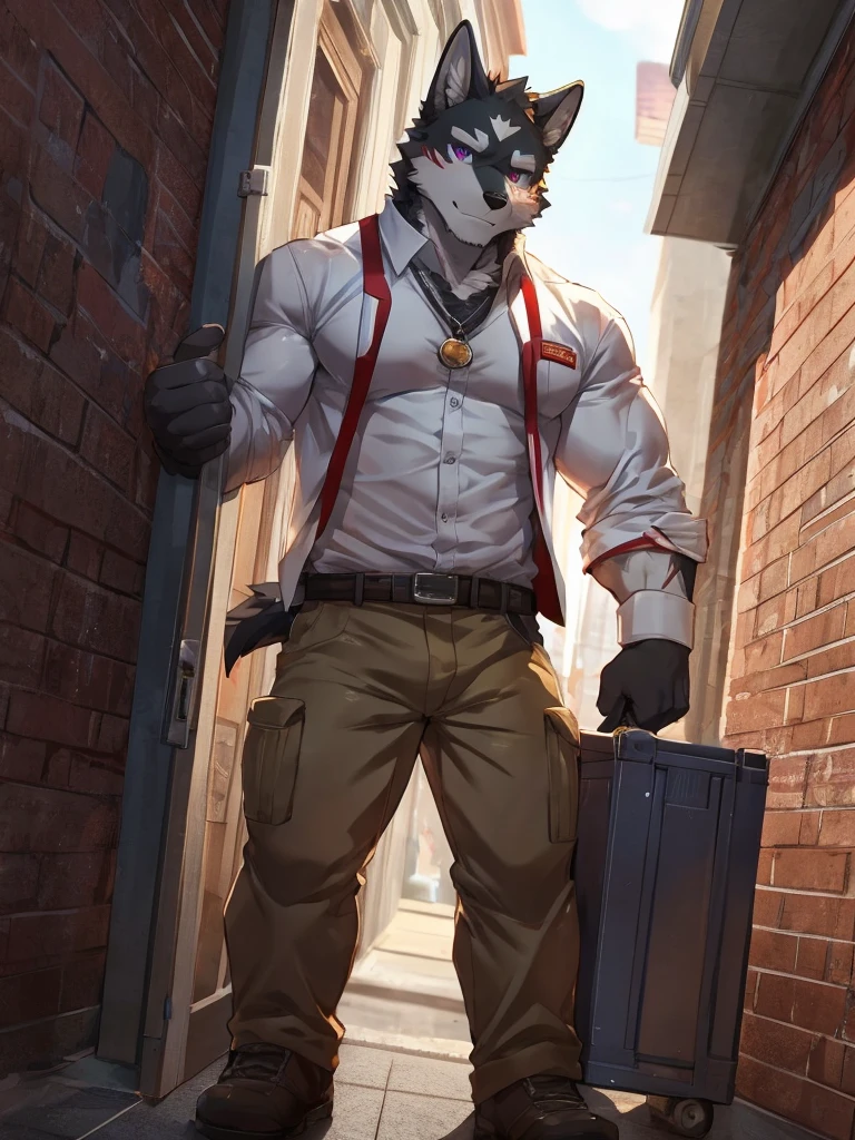 embedding:black wolf, male,purple eyes,Scar on the face, scar on the body,Single person,deliveryman,Standing outside the door,In the corridors,white shirt,Robust,taking a shit.pooping.Contempt,With the express box in his hand,The highest quality of scene detail,adult,Tall and powerful,muscle,Best quality hands, best quality eye,detailed fur,Delicate eyes.Extreme picture quality,by sollyz,by zixiong,by milkytiger1145