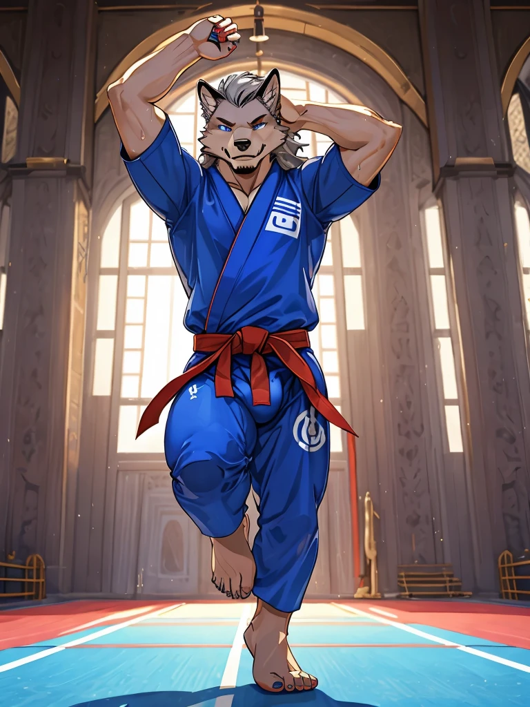 gray wolf、Judo uniform about to come off、great abs、silver mane、pubic hair、navel hair、armpit hair、blue and dark blue eyes、huge bulge in the crotch、Crotch about to burst、Judo Hall Background、Kicking pose、Pose with one arm raised、Composition looking up from diagonally below、a lot of sweat、Nipple piercing