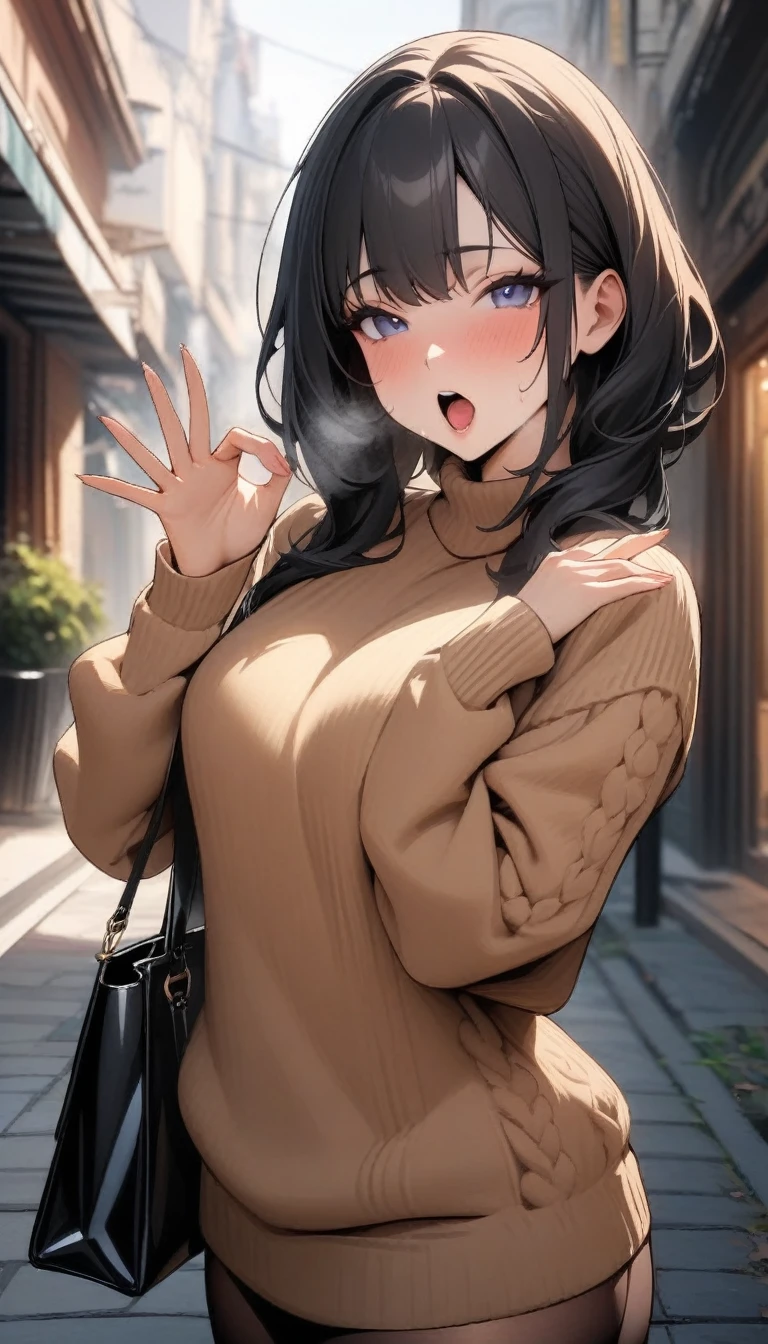 masterpiece, Highest quality, so beautiful, Absurd, up to date,(masterpiece, Highest quality:1.2), One girl, alone,mature_Lady,Long black hair, sweater,On the street,Open_mouth,Blowjob_gesture,Blowjobgesture