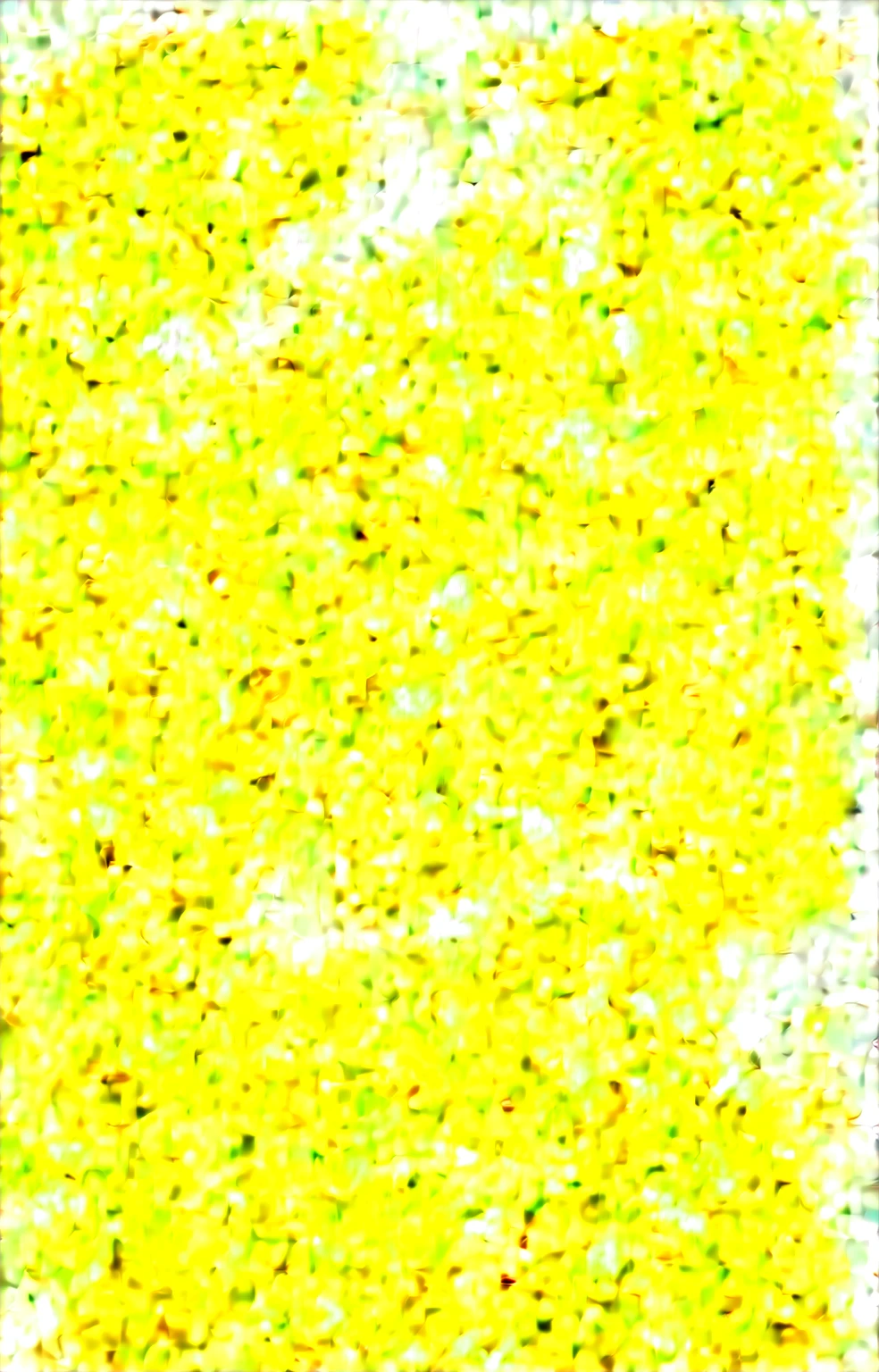 (score_9, score_8_up, score_7_up, score_6_up, score_5_up, score_4_up), masterpiece, best quality, very aesthetic, high_resolution, 8k, UHD, 1girl, best anatomy, (large breasts), simple background, nude, naked, nipples, pussy, short hair, yellow hair, messy hair, bangs, animal ears, brown animal ears, green eyes, armpit, 