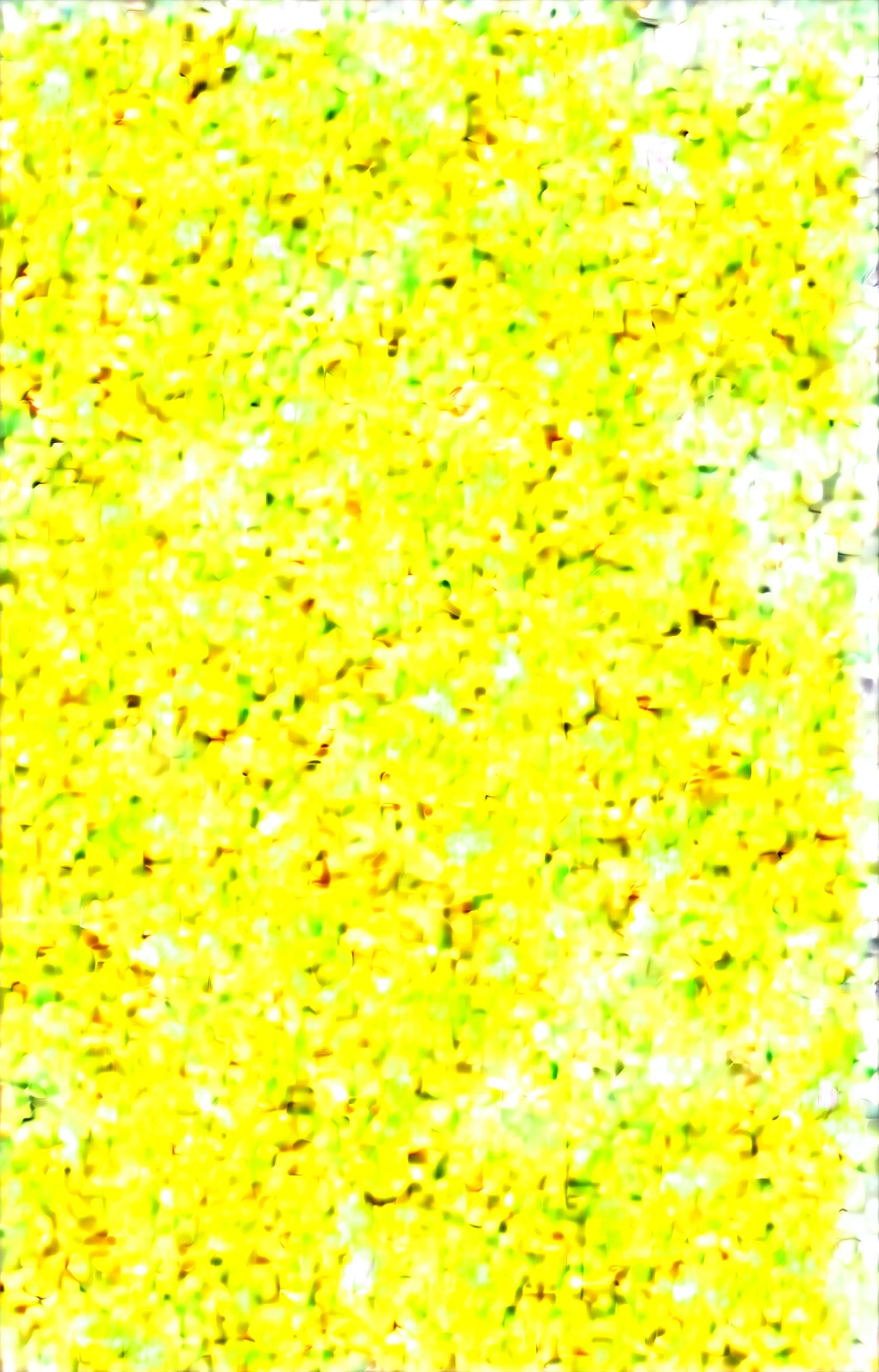 (score_9, score_8_up, score_7_up, score_6_up, score_5_up, score_4_up), masterpiece, best quality, very aesthetic, high_resolution, 8k, UHD, 1girl, best anatomy, (large breasts), simple background, nude, naked, nipples, pussy, short hair, yellow hair, messy hair, bangs, animal ears, brown animal ears, green eyes, armpit,