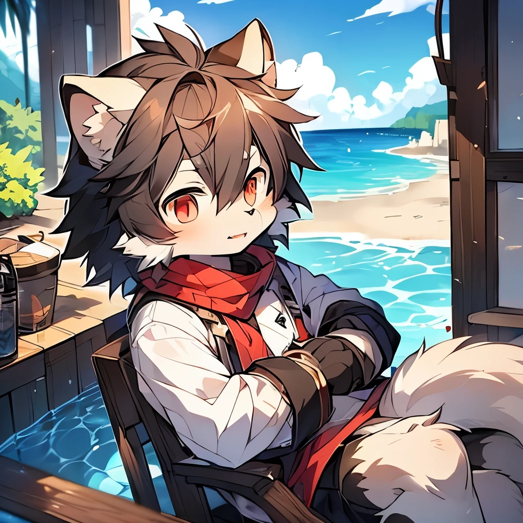 hairy,hairy wolf,black hair,male，young,Little cutie,From milkytiger1145,Red eyes,Wolf Tail,Very detailed,Gray fur,permanent，Alone in the sun,in the Ocean,Beautiful scenery ,summer,peaceful,(Dark environment 0.8),（Wide-angle lens 1.5）,masterpiece,high quality，Ocean,