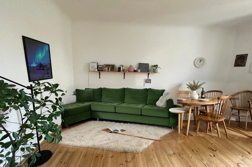 cozy geen sofa with small carpet