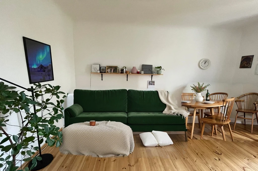 cozy geen sofa with small carpet