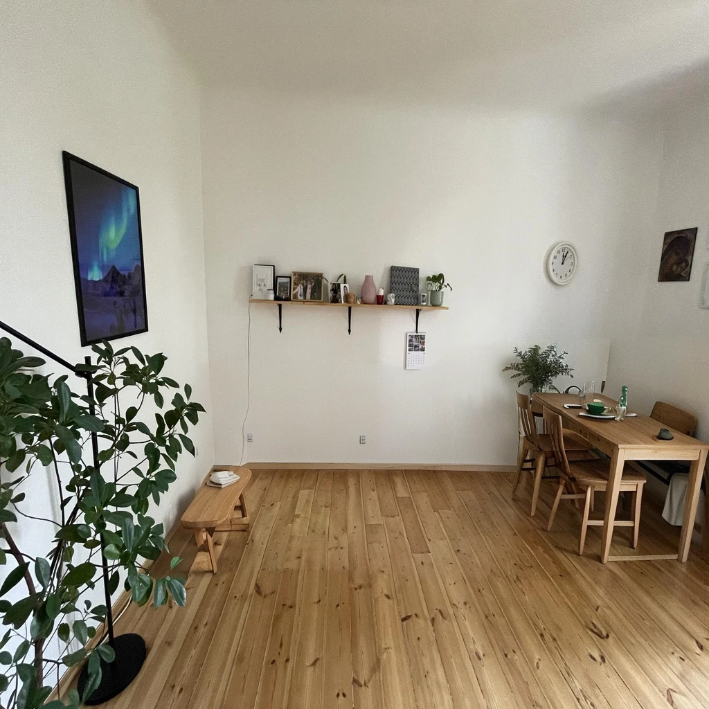 nice green sofa, small carpet, round wooden table with chairs 