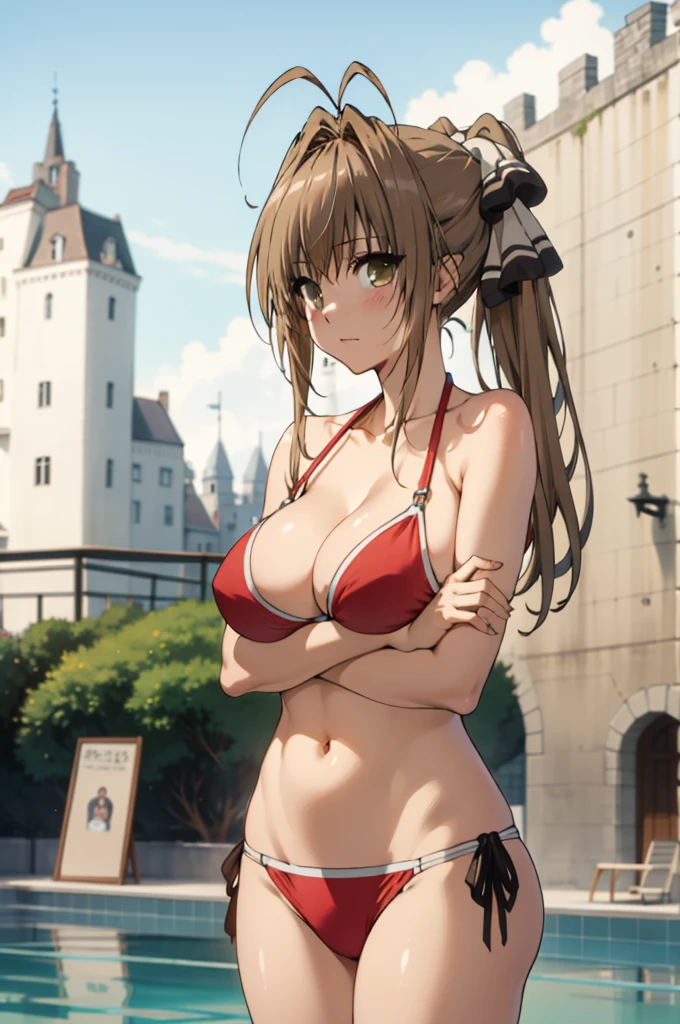 best quality, masterpiece, detailed,
SentoIsuzu,
solo, closed mouth, blush,
brown hair, brown eyes, long hair, antenna hair, ponytail, hair bow,
SentoBikini, o-ring bikini, red bikini, big breasts, (breast hold:1.2),
standing, looking at the viewer,
day, castle, pool