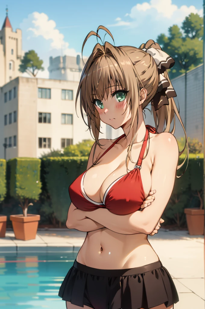 best quality, masterpiece, detailed,
SentoIsuzu,
solo, closed mouth, blush,
brown hair, brown eyes, long hair, antenna hair, ponytail, hair bow,
SentoBikini, o-ring bikini, red bikini, big breasts, (breast hold:1.2),
standing, looking at the viewer,
day, castle, pool