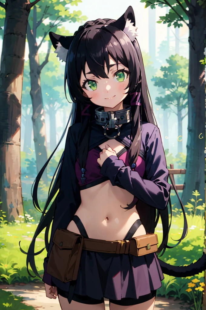 best quality, (masterpiece:1.2), detailed,
rem isekaimaou,
light blush, light smile, closed mouth,
black hair, long hair, green eyes, cat ears, tail,
black shorts, jacket, bra, skirt, belt, belt pouch, metal collar,
standing, head tilt, looking at the viewer,
night, forest, fireflies,  night sky