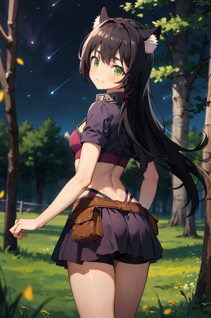 best quality, (masterpiece:1.2), detailed,
rem isekaimaou,
light blush, light smile, closed mouth,
black hair, long hair, green eyes, cat ears, tail,
black shorts, jacket, bra, skirt, belt, belt pouch, metal collar,
standing, head tilt, looking at the viewer,
night, forest, fireflies,  night sky,ass,from back