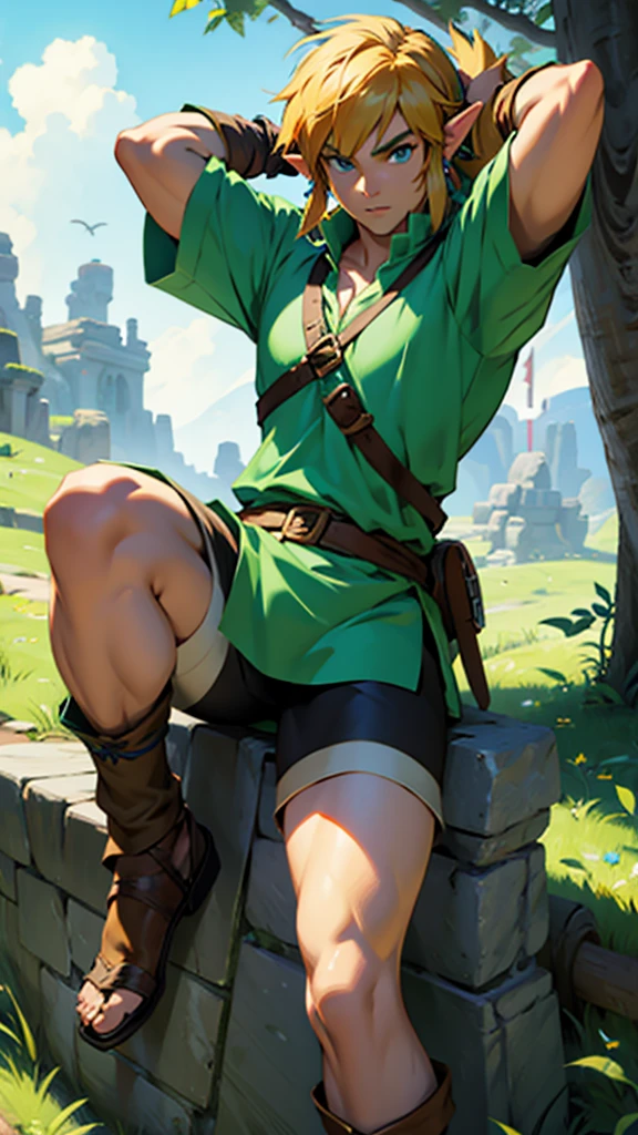 The Legend of Zelda: Link's Shining Sword