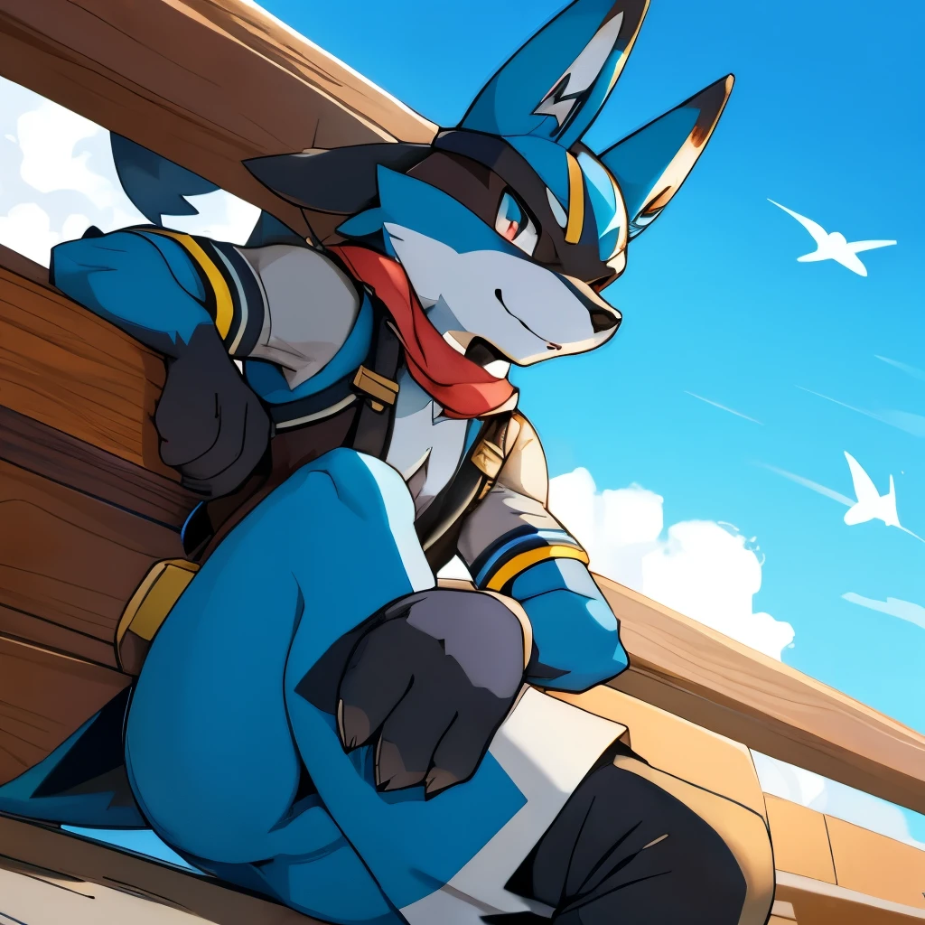 Cool Lucario、　１animal、　male、　perfect image sexy