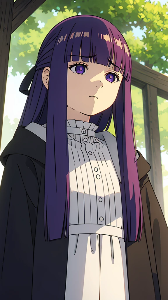 1girl,fern,fern_clothes,upper_body,(looking at viewer:1.1),half-closed eyes,shaded face,angry,closed_mouth,from below,outdoors,black_robe