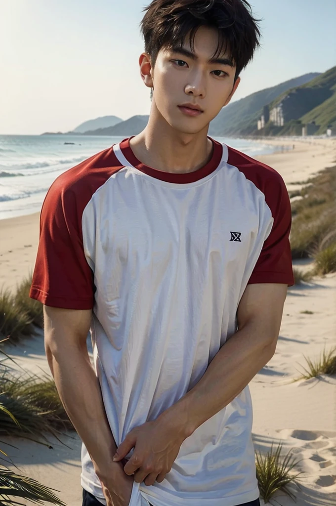 A handsome, muscular young Asian man looks at the camera. In a simple t-shirt white and red , Fieldside, grass, beach, sunlight, Carrying a camera