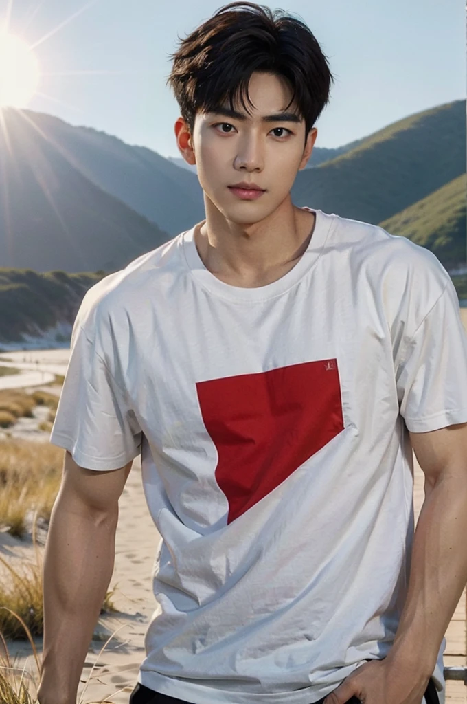 A handsome, muscular young Asian man looks at the camera. In a simple t-shirt white and red , Fieldside, grass, beach, sunlight, Carrying a camera