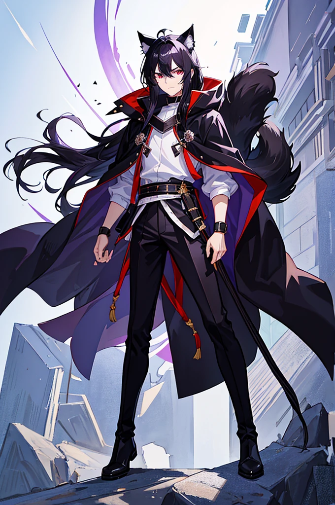 Black Hair少年，Around ，Black Hair，Cat ear，Cat tail，Purple cloak，Heterochromia，Red left eye，Blue right eye，White shirt，Purple cloak，Standing，whole body，For the audience，White background，masterpiece，HD，4K，Detailed facial depiction，Black trousers，Black boots，Black Hair，White background（1:5）