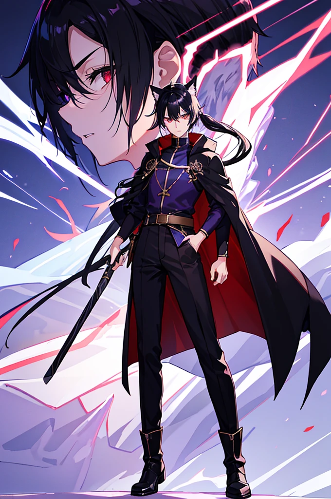 Black Hair少年，Around fifteen years old，Black Hair，Cat ear，Cat tail，Purple cloak，Heterochromia，Red left eye，Blue right eye，White shirt，Purple cloak，Standing，whole body，For the audience，White background，masterpiece，HD，4K，Detailed facial depiction，Black trousers，Black boots，Black Hair，White background（1:5）
